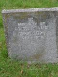 image of grave number 302529